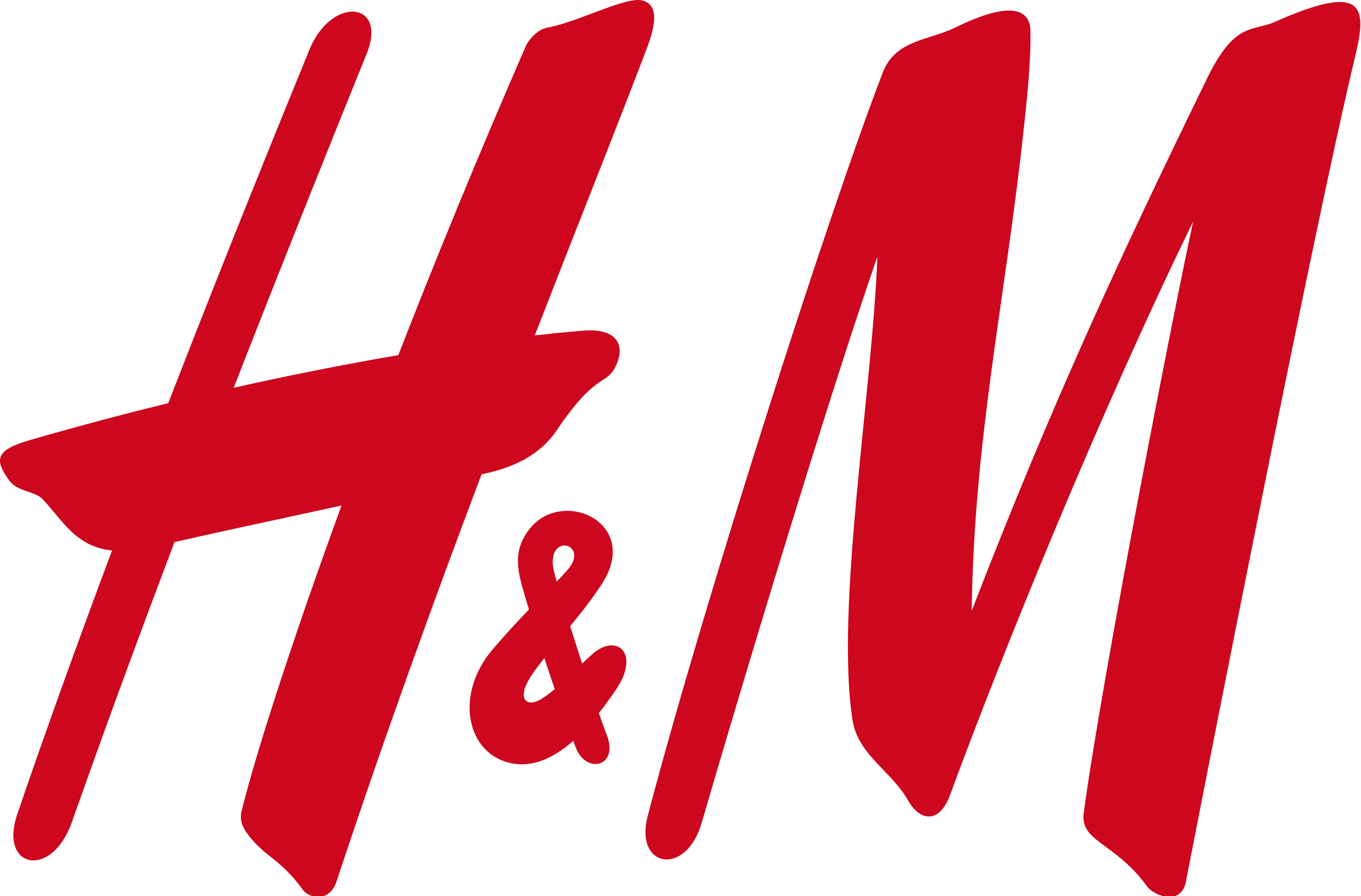 H&M Group Software Engineer - .Net