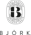 Björk logo