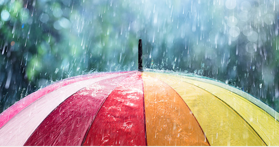 Bild #0 - Cactus Utilities