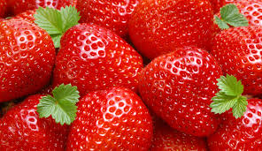 Bild #0 - Bergfalk & Co