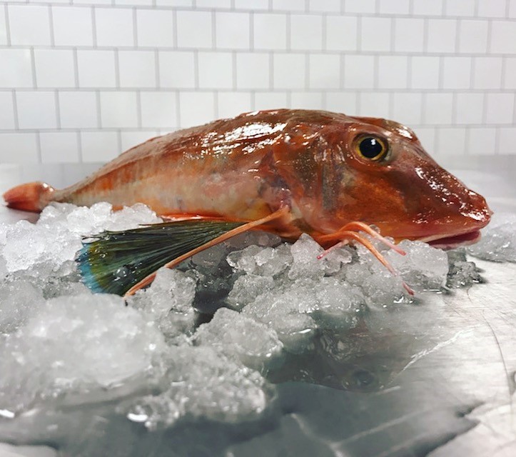 Bild #1 - Bergfalk & Co