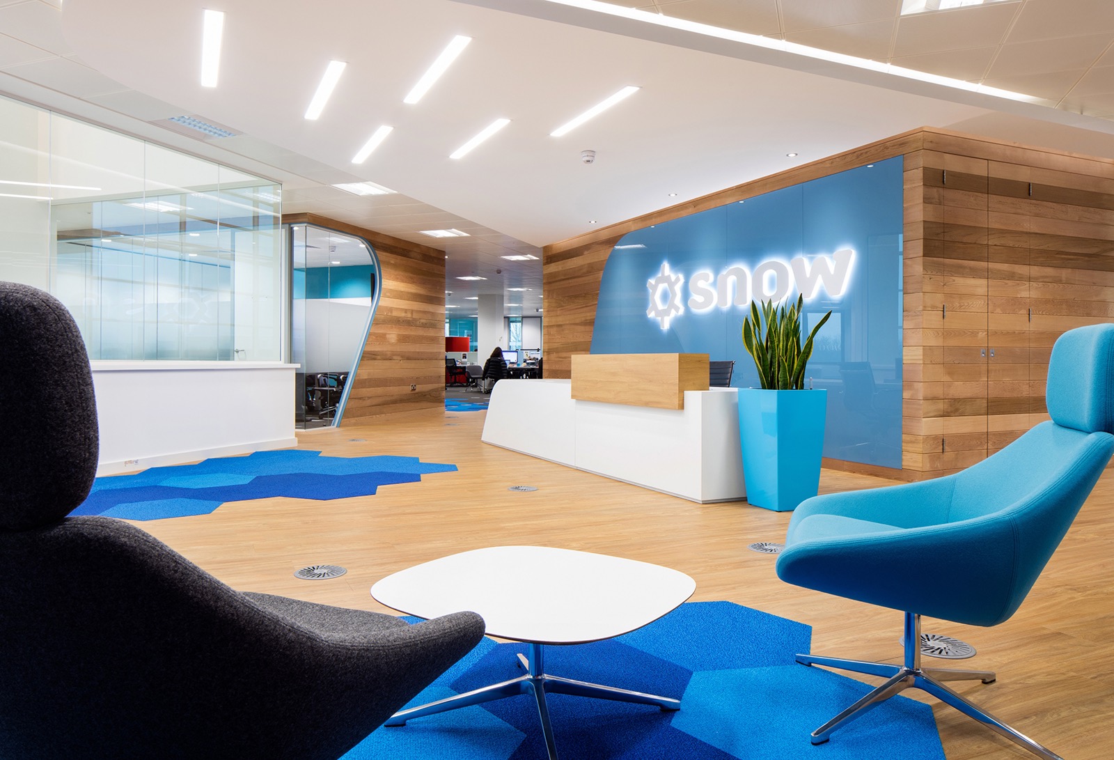 Bild #2 - Snow Software