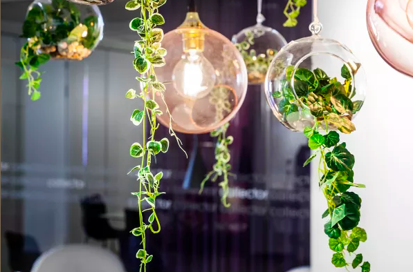 Bild #2 - Collector bank