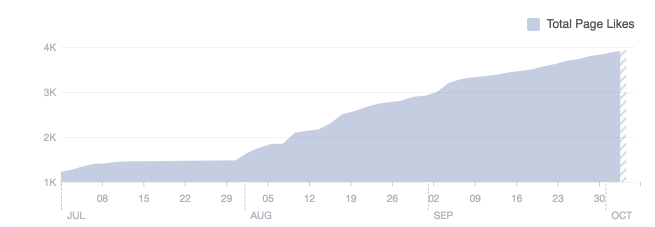 Bild #6 - Just Arrived