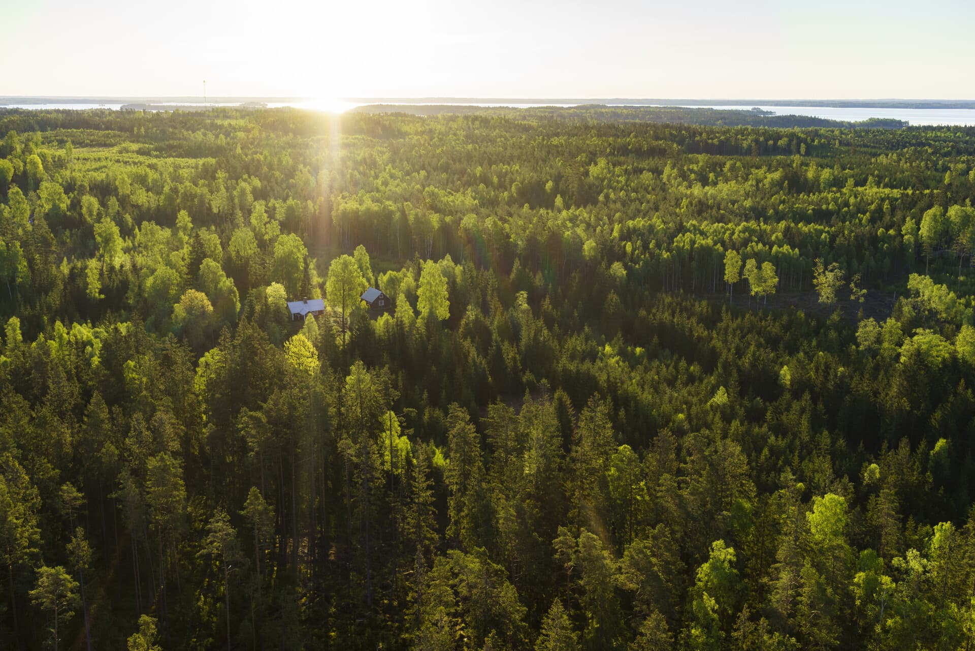 Listningsbild Examensarbete: Lagerstyrning i ett hållbart och robust logistiksystem