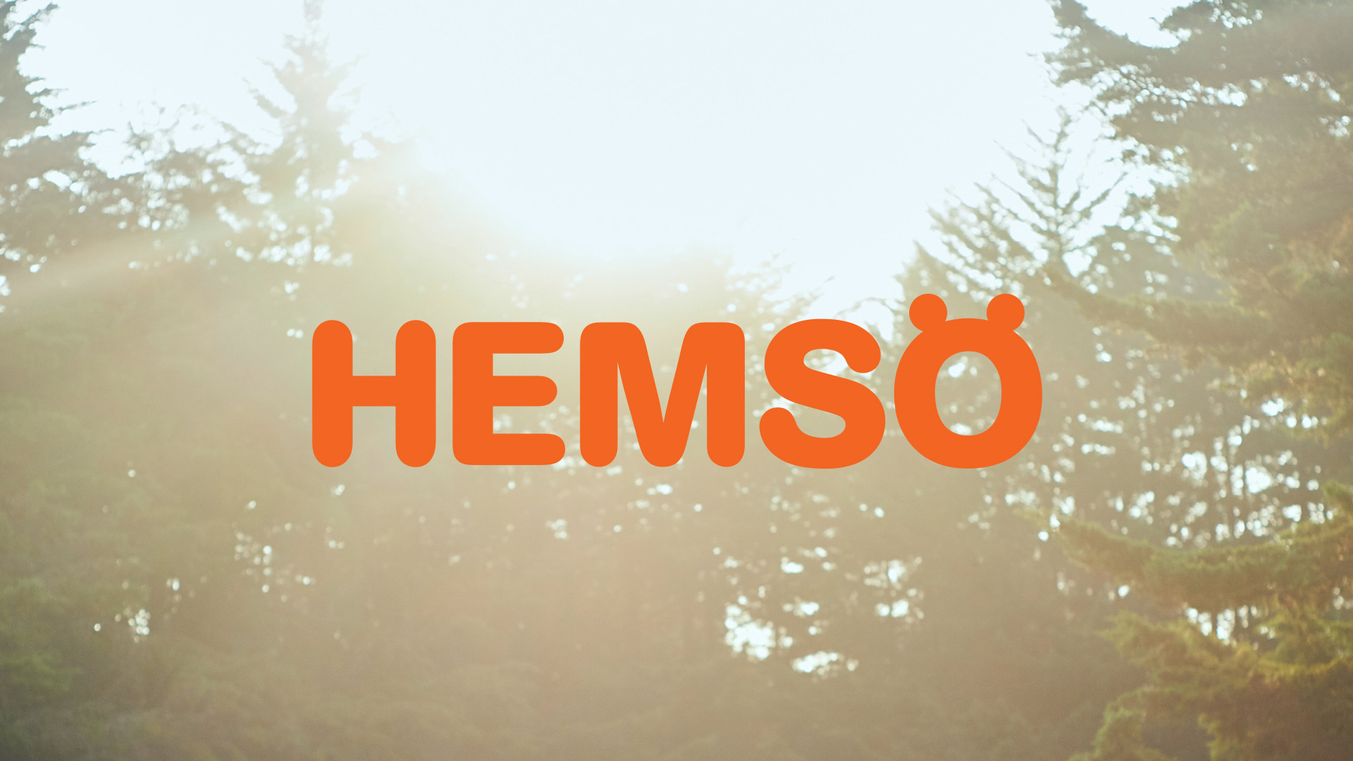 Listningsbild LIA/Praktik - Sverige