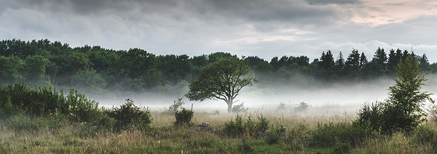 Listningsbild Chef Sälj & Marknad till Dina Försäkring AB