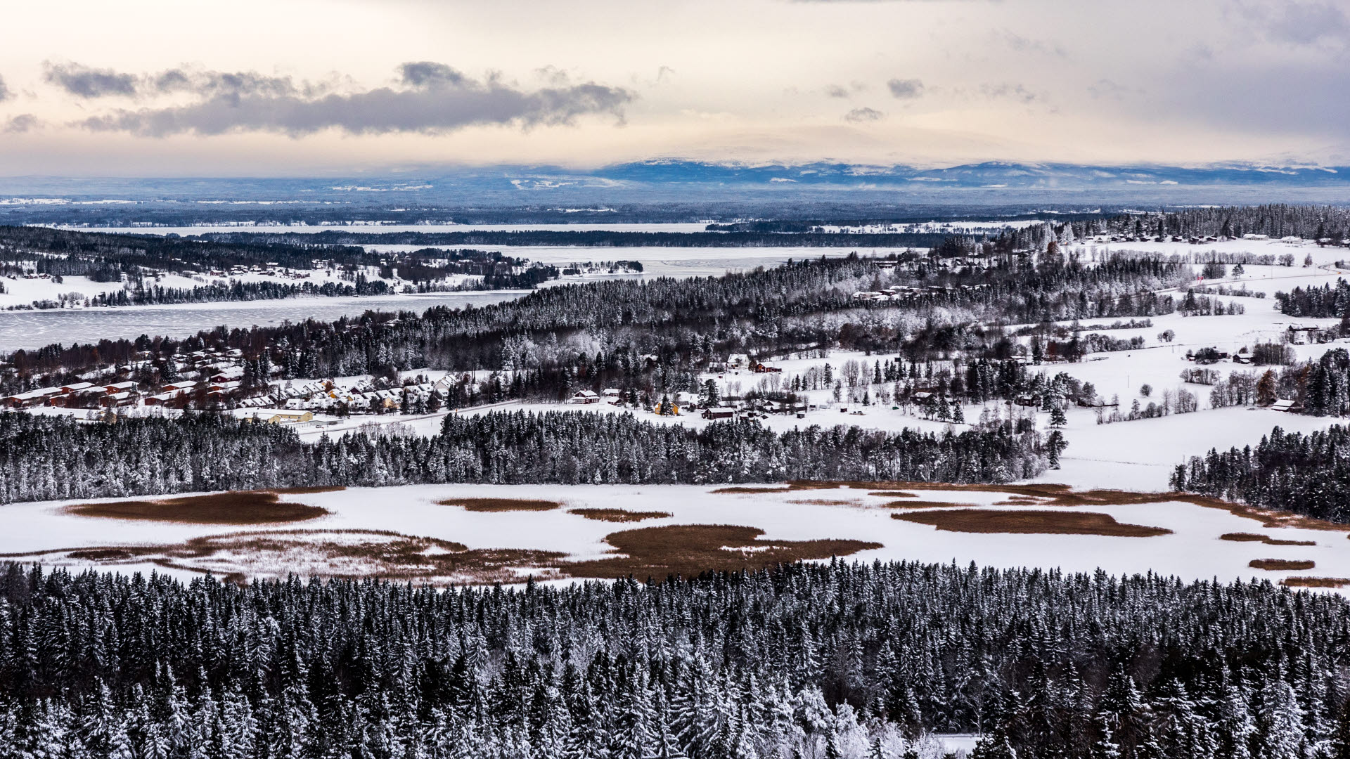Listningsbild Värnpliktshandläggare - Försvarsmakten