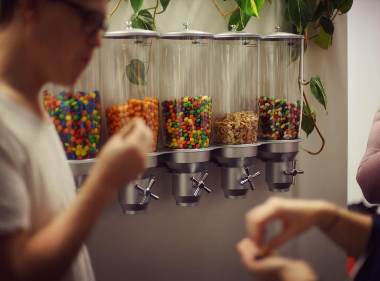 Bild #1 - Rebel & Bird