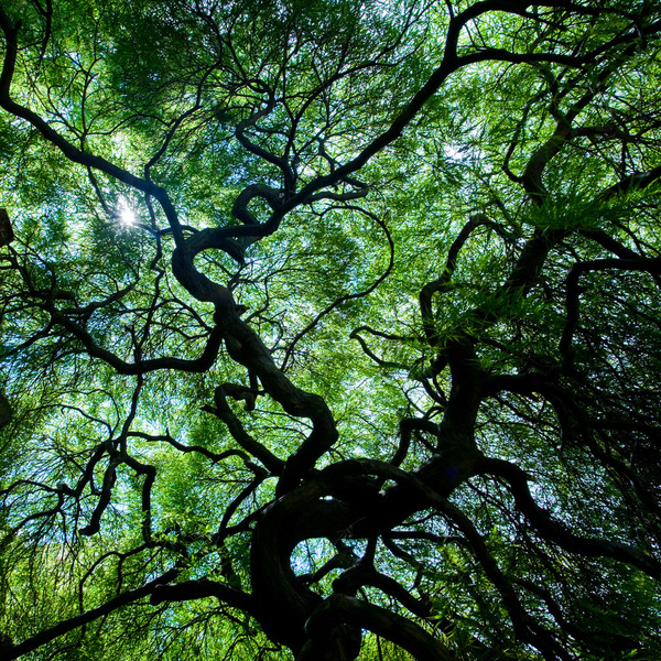 Bild #0 - Lexicon IT-konsult