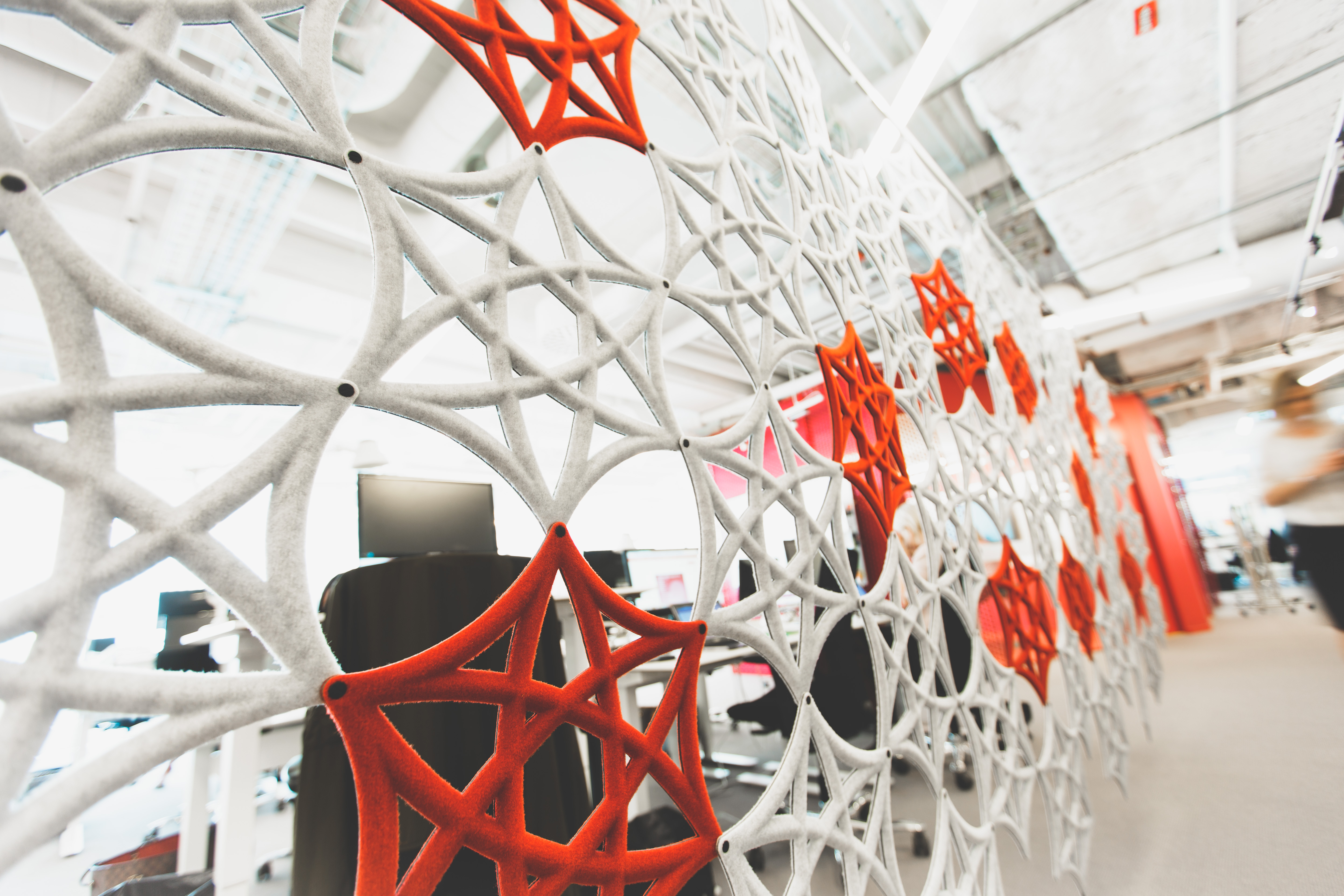 Bild #0 - Candidator