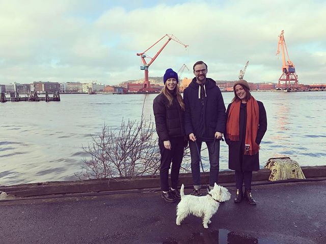 Bild #3 - We made you look